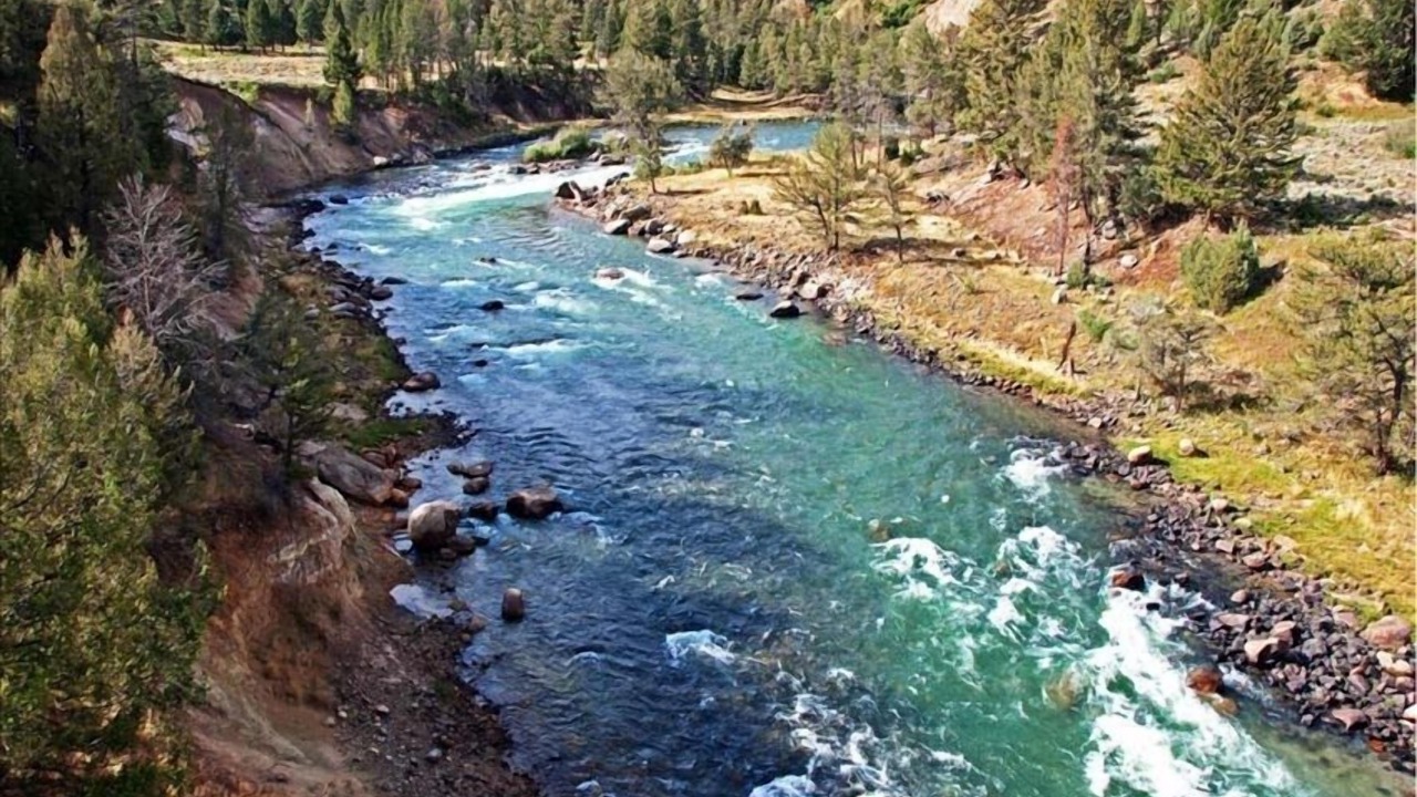 Photo of Others in Livingston