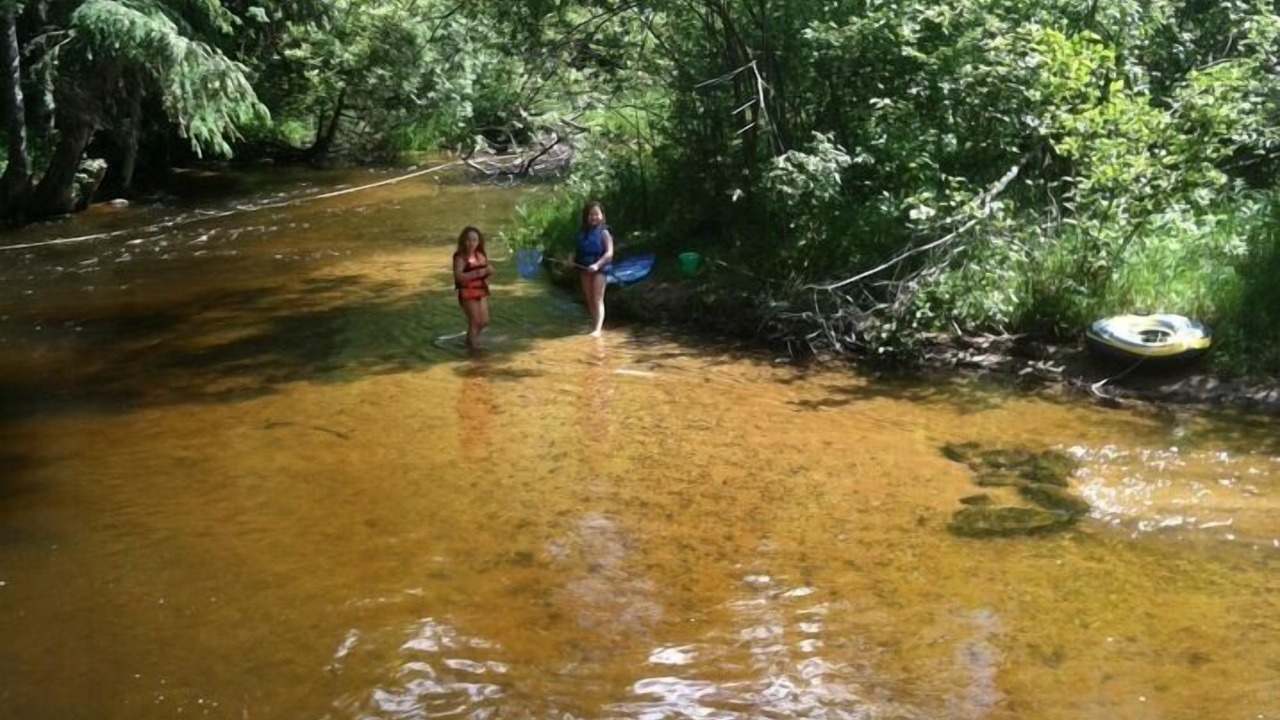 Photo of Others in Manistee