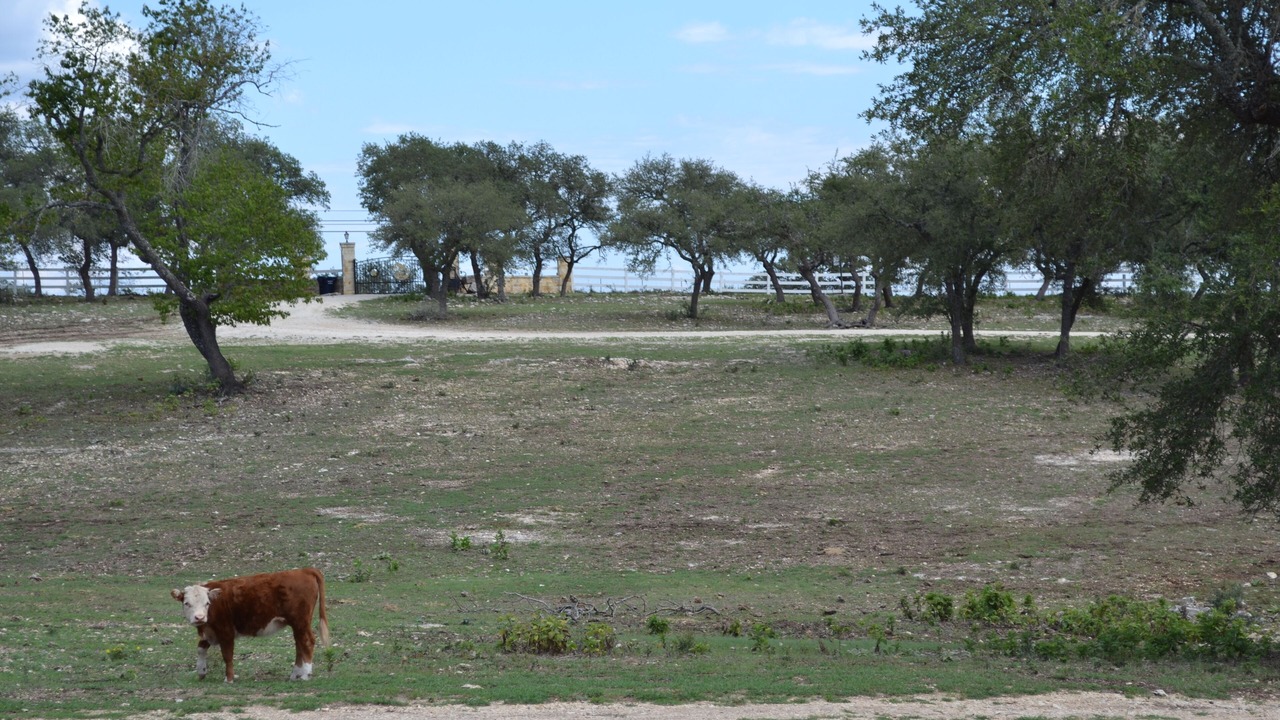 Photo of Outdoor in Kerrville