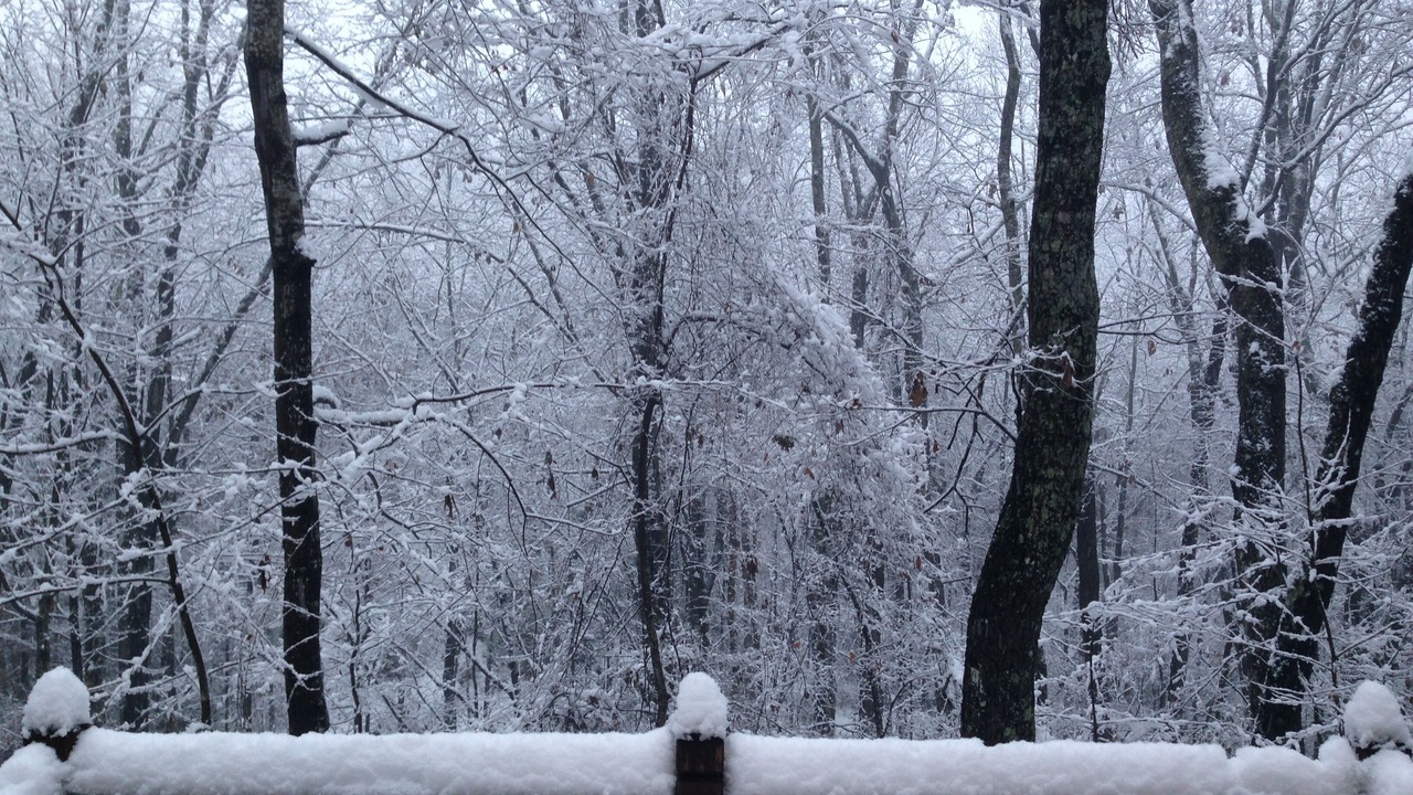 Photo of Outdoor in Cleveland