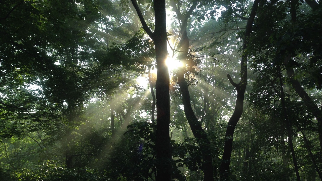 Photo of Outdoor in Cleveland