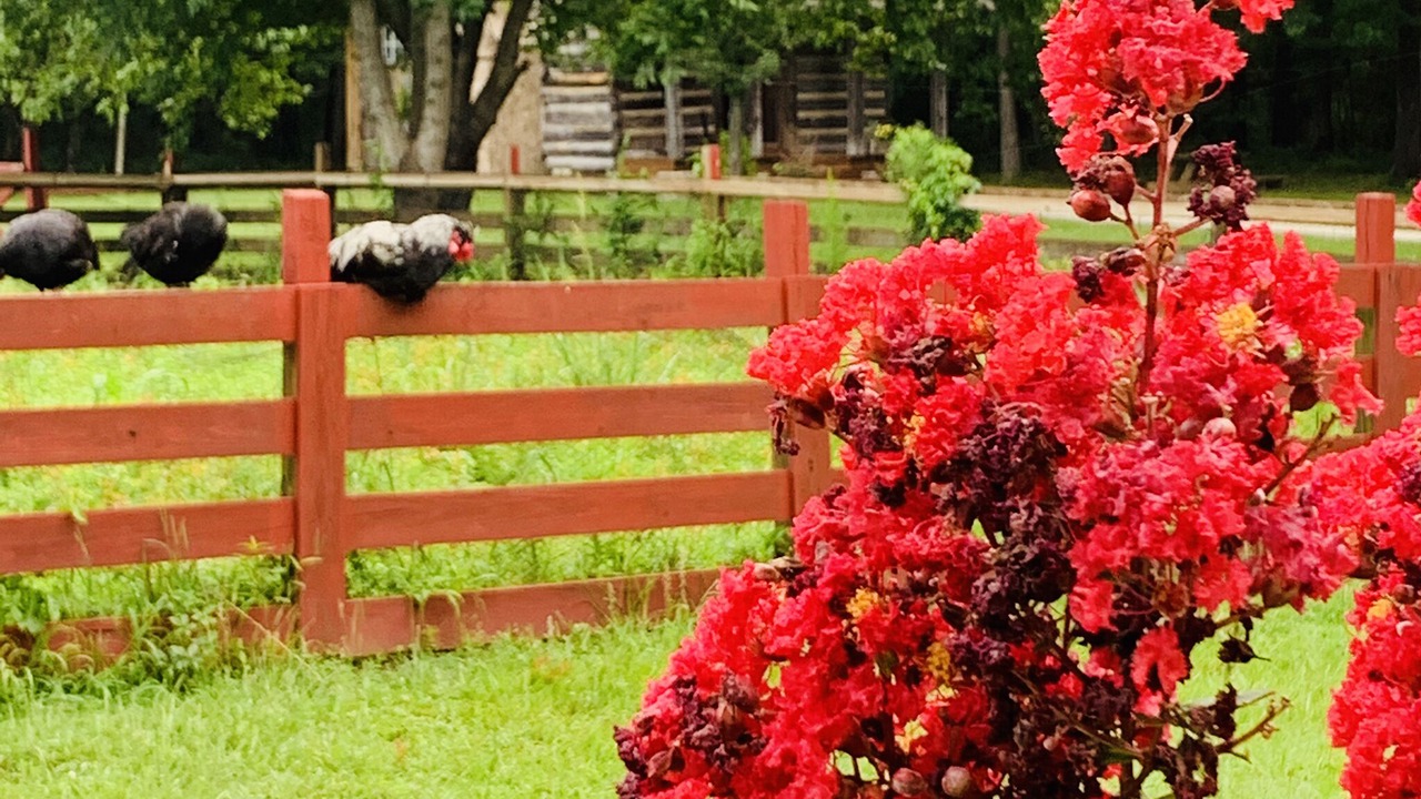 Photo of Outdoor in Washington