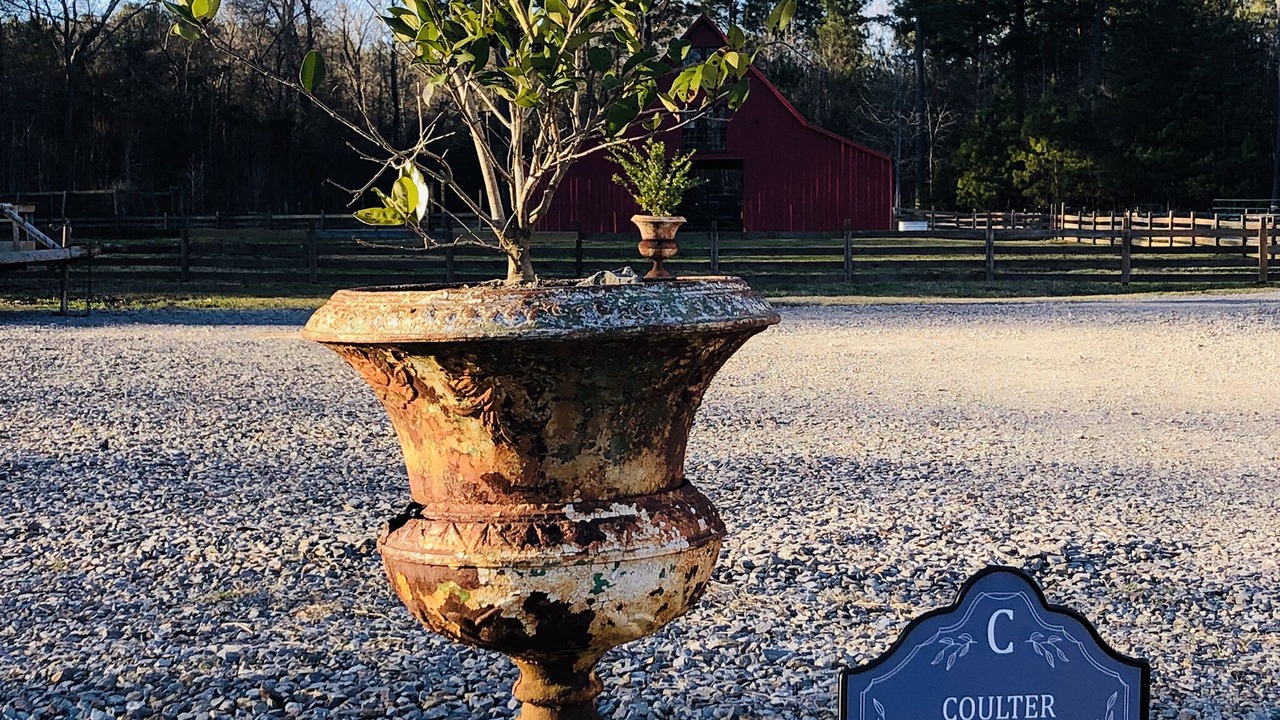 Photo of Outdoor in Washington