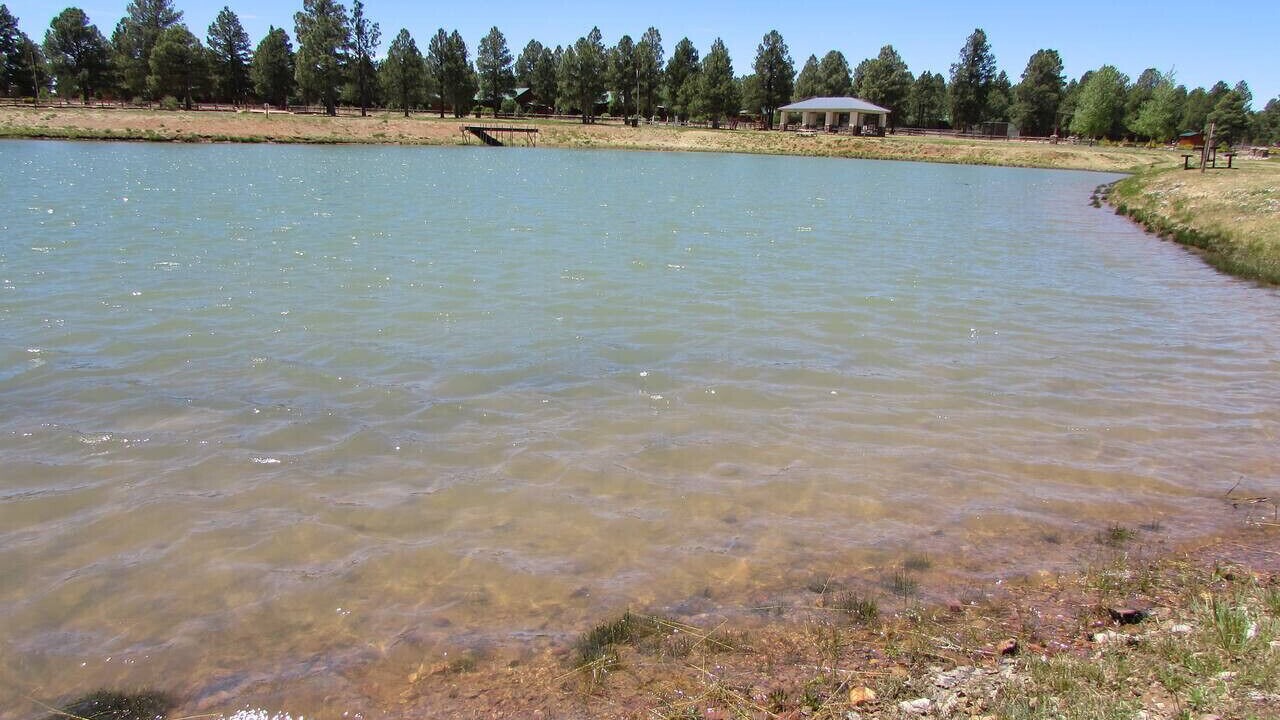 Photo of Others in Heber