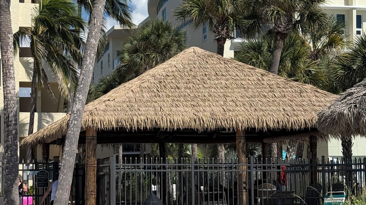 Photo of Others in Siesta Key