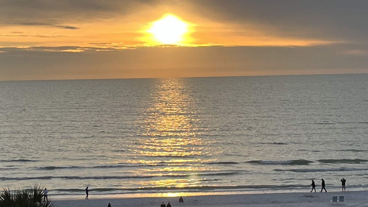 Photo of Others in Siesta Key