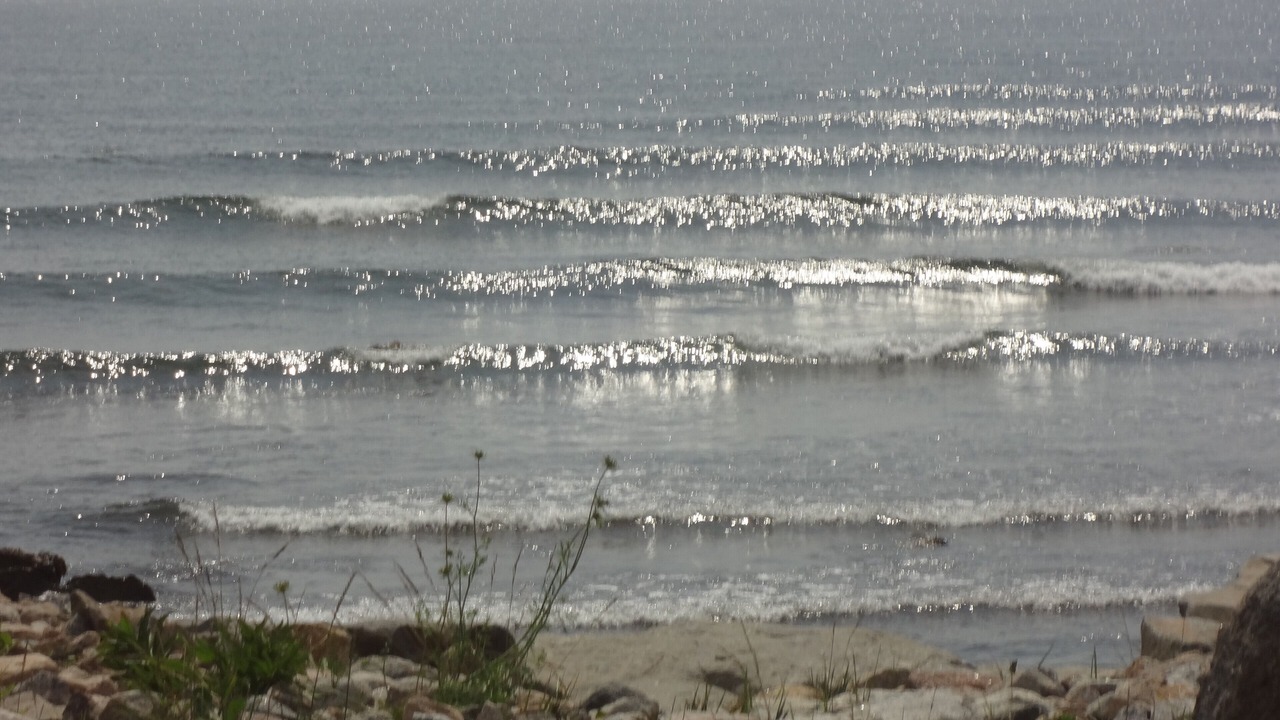 Photo of Others in Point Judith