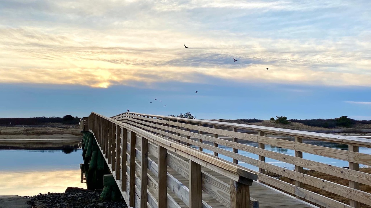 Photo of Others in Ogunquit