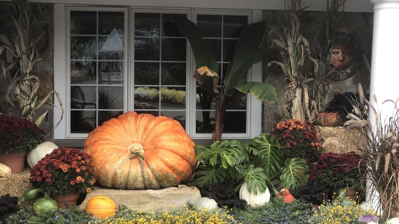 Photo of Others in Ogunquit