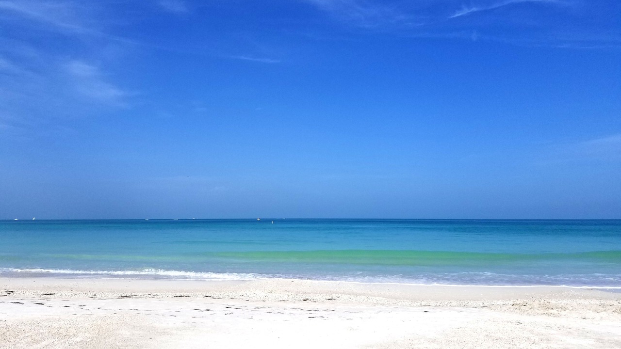 Photo of Others in Bradenton