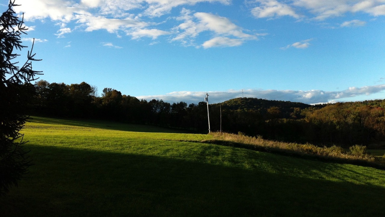 Photo of Others in Town of Delaware