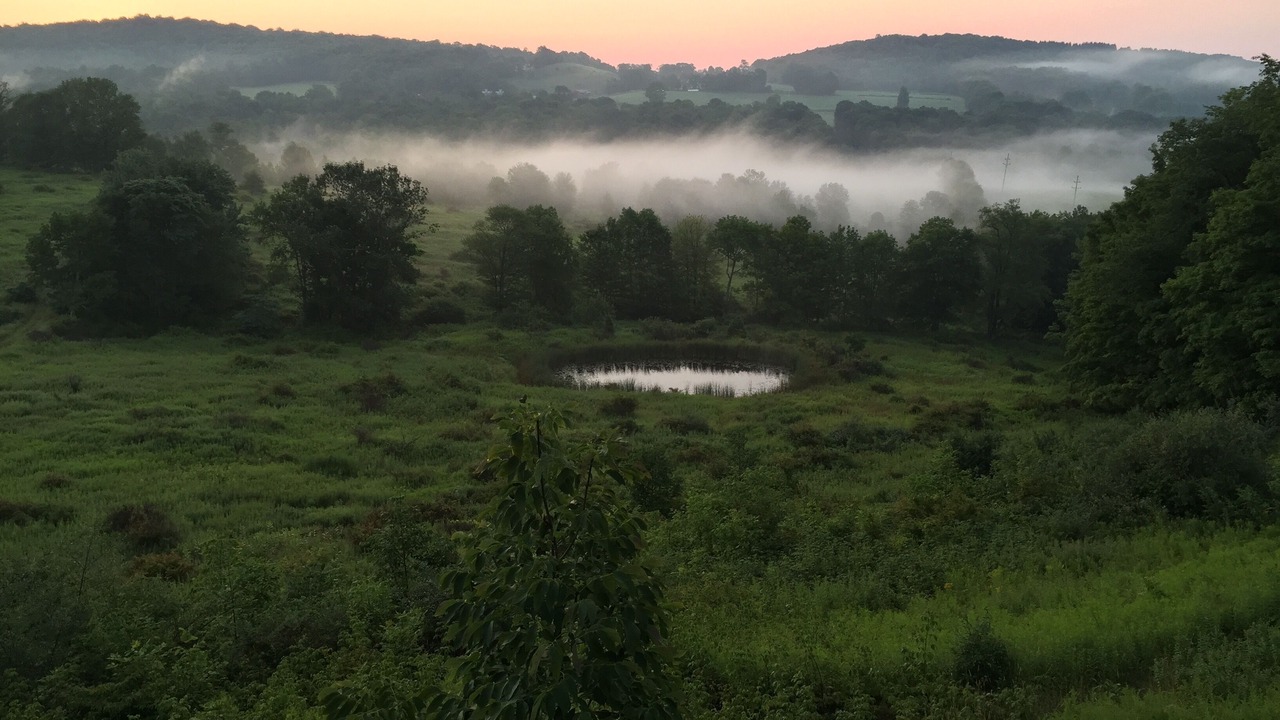 Photo of Outdoor in Town of Delaware