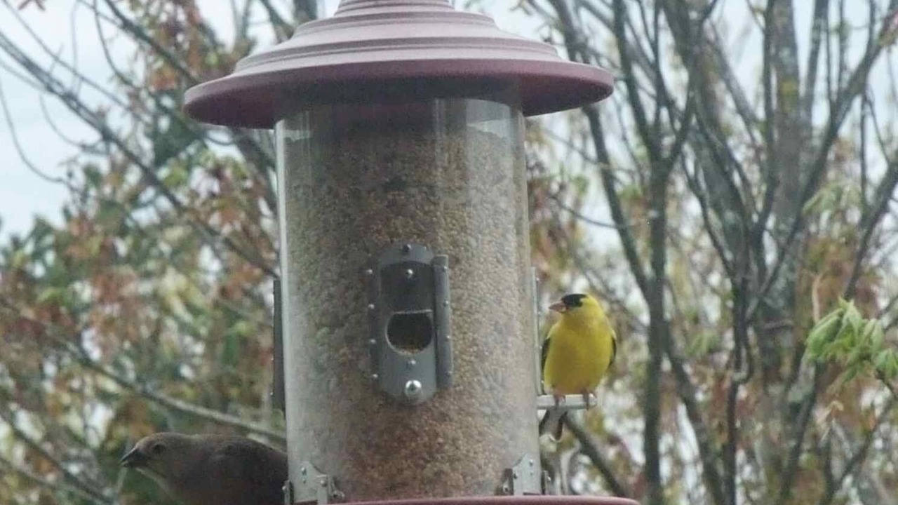 Photo of Others in Town of Delaware