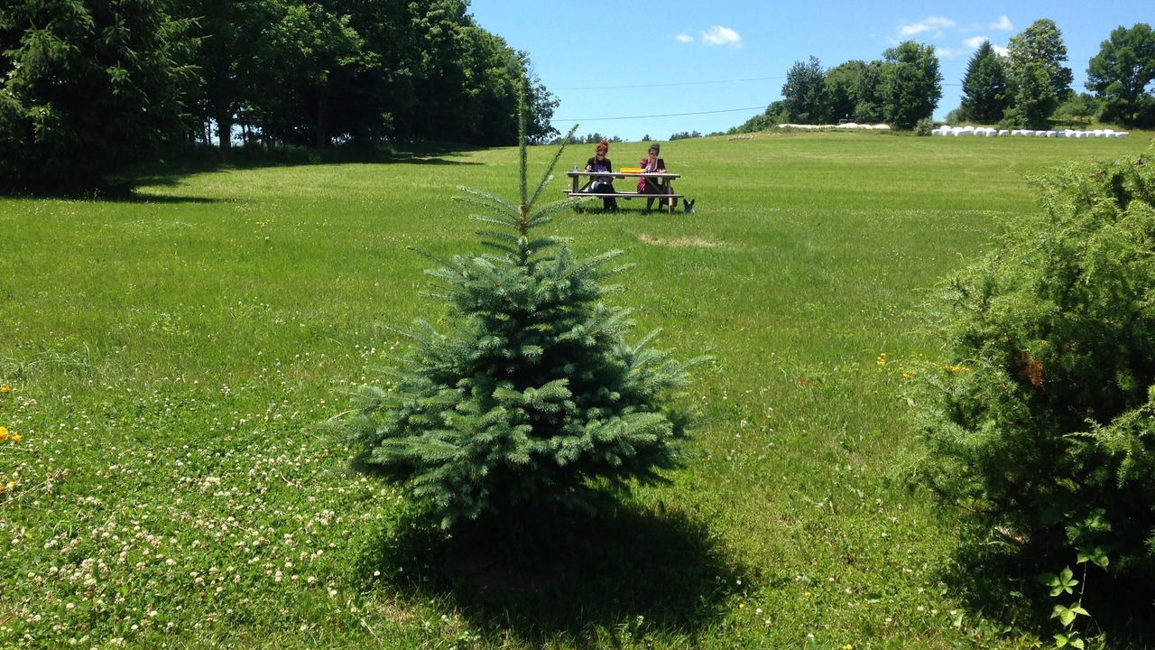 Photo of Others in Town of Delaware