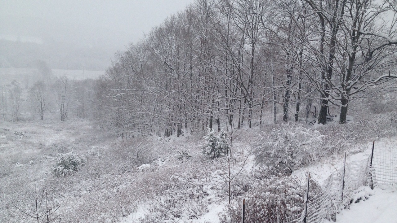 Photo of Others in Town of Delaware