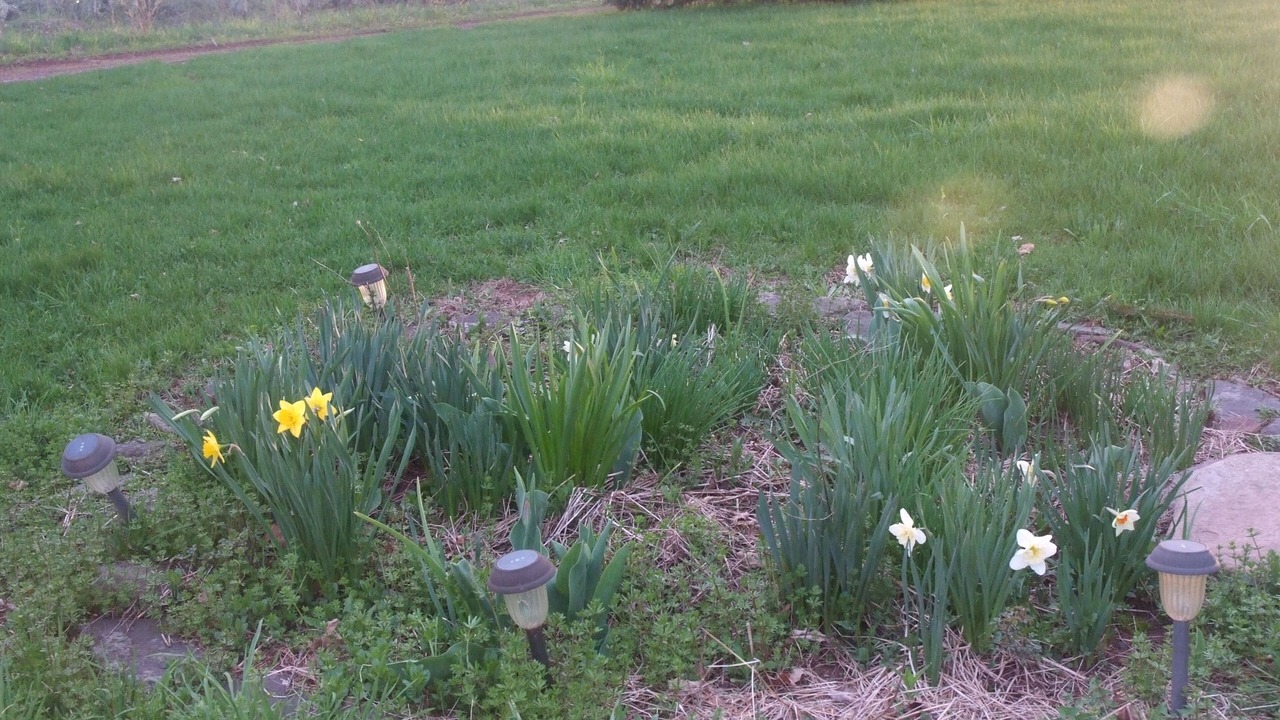 Photo of Outdoor in Town of Delaware