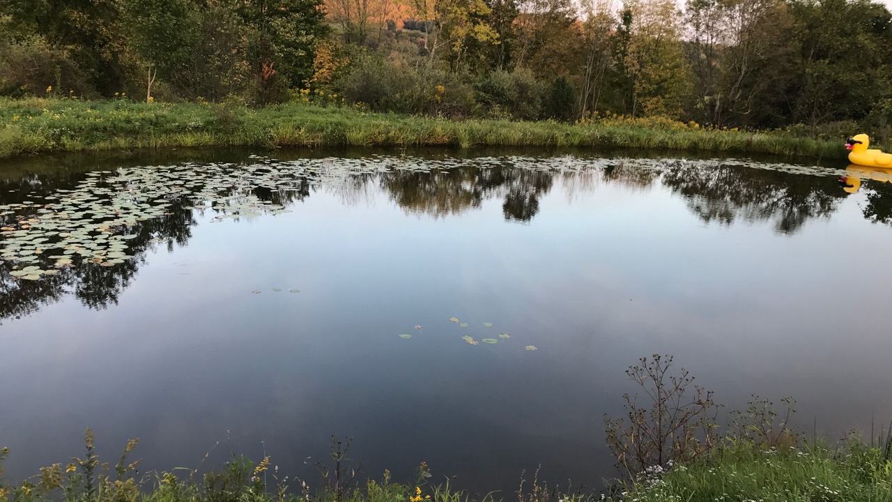 Photo of Outdoor in Town of Delaware