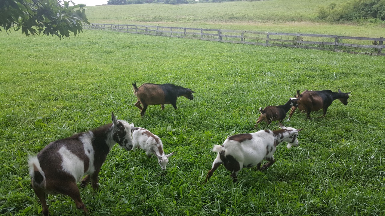 Photo of Outdoor in Jarrettsville