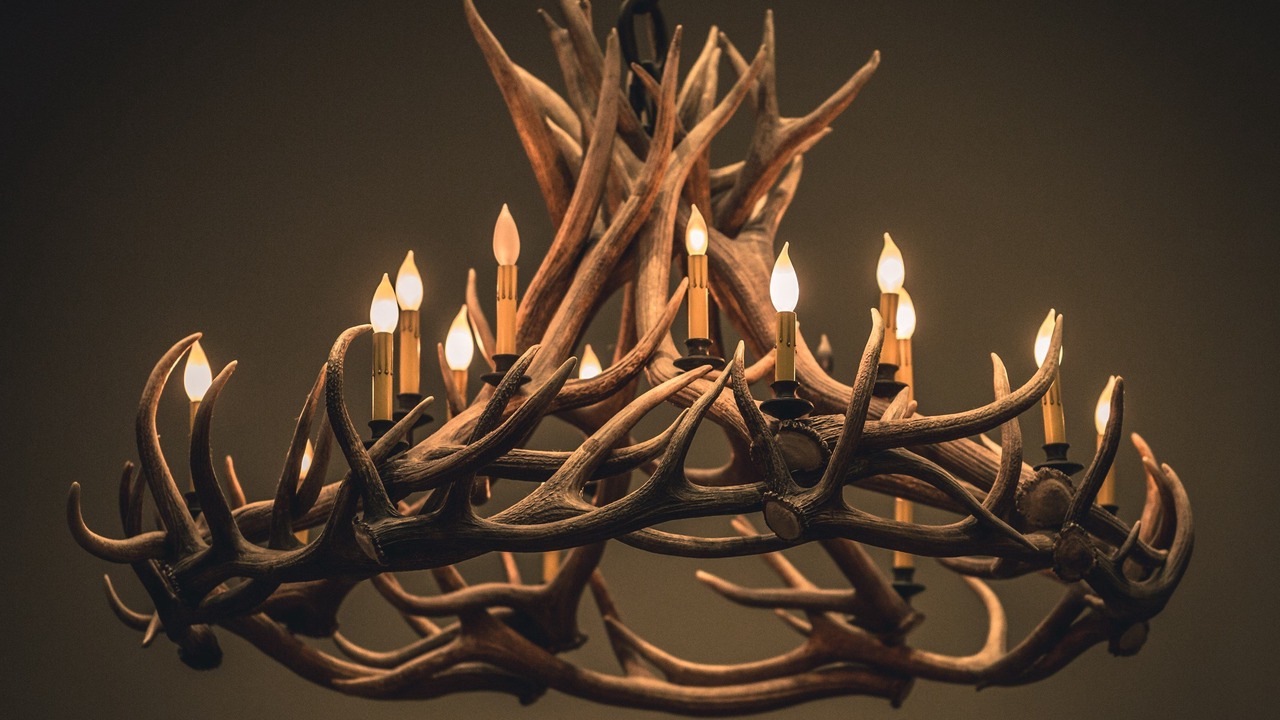 Photo of Others in Jackson