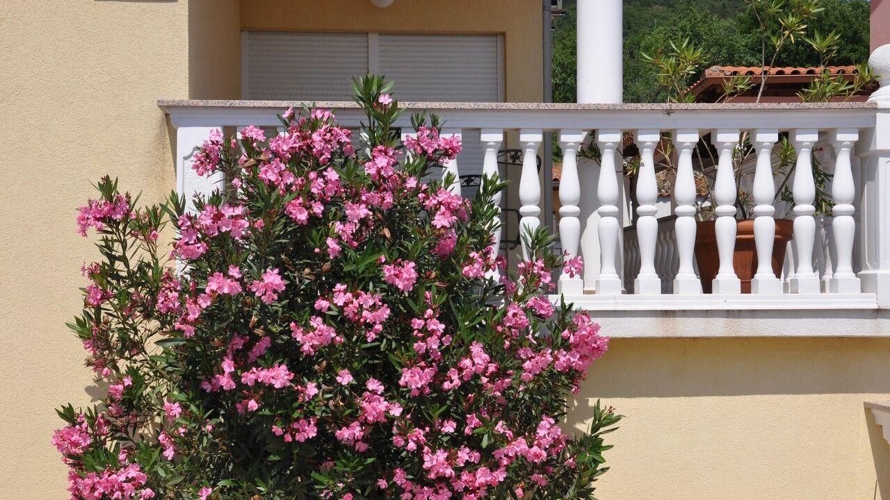 Photo of Outdoor in Dramalj