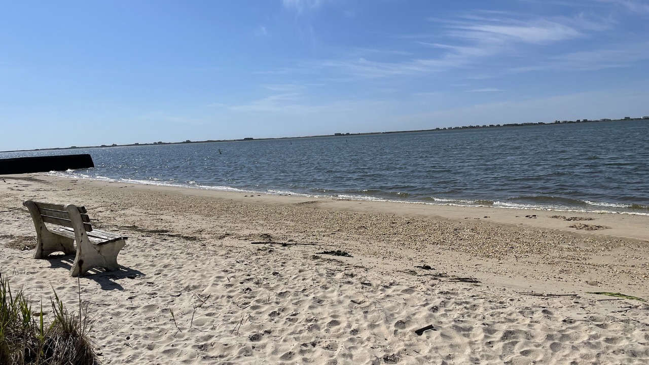 Photo of Others in East Quogue