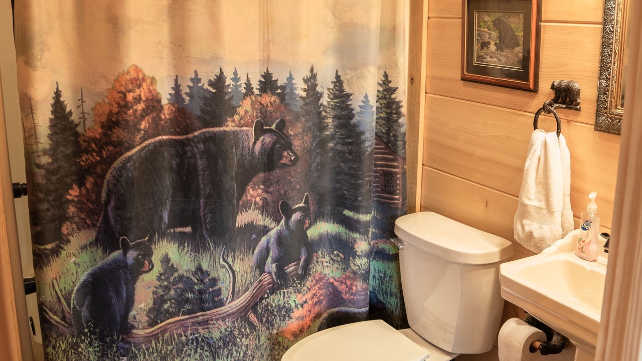 Photo of Bathroom in Sevierville