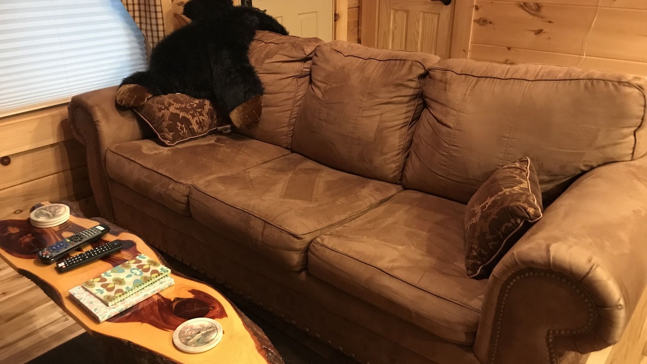 Photo of Livingroom in Sevierville