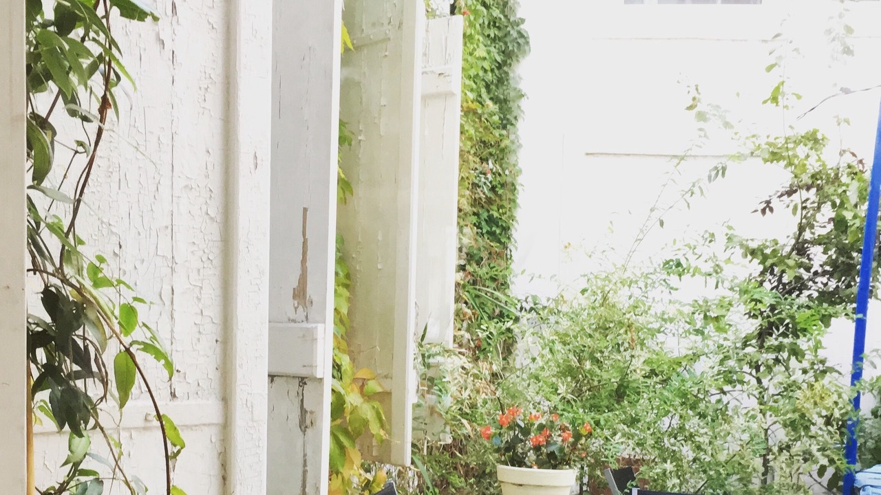 Photo of Outdoor in Saint Nicolas - Charles III - Ville vieille - Trois Maisons - Leopold