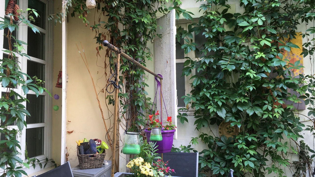 Photo of Outdoor in Saint Nicolas - Charles III - Ville vieille - Trois Maisons - Leopold