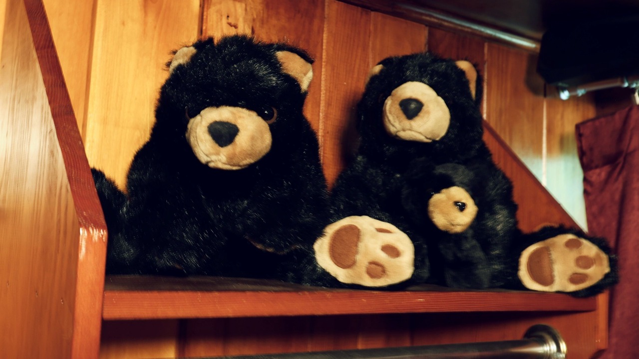 Photo of Others in Gatlinburg