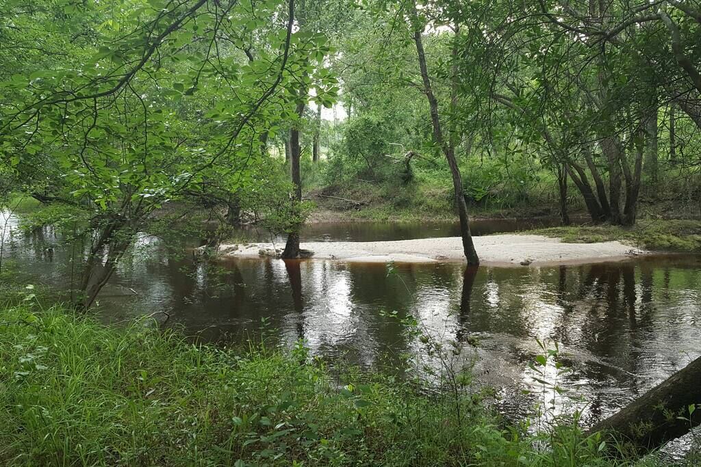 Photo of Others in Claxton