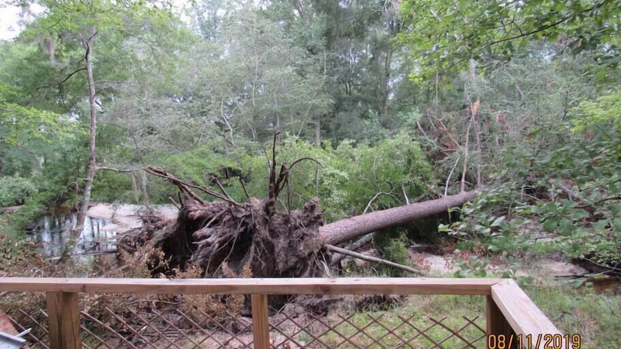 Photo of Others in Claxton