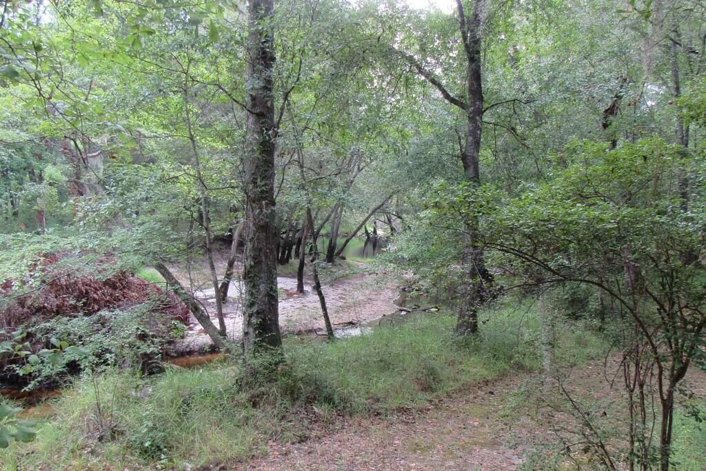 Photo of Others in Claxton