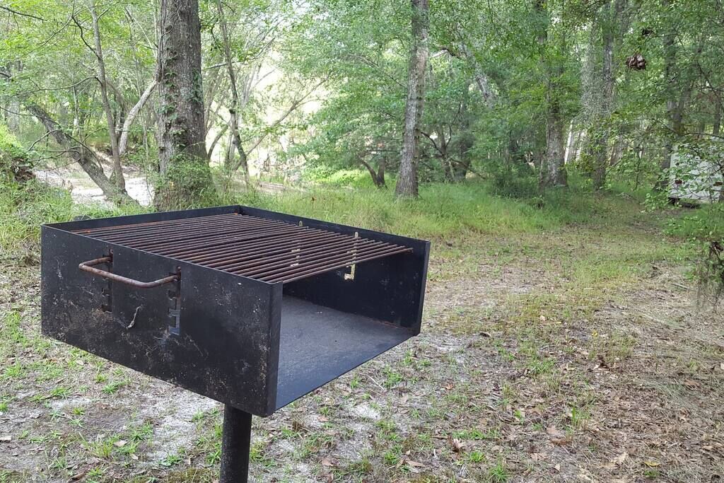 Photo of Others in Claxton