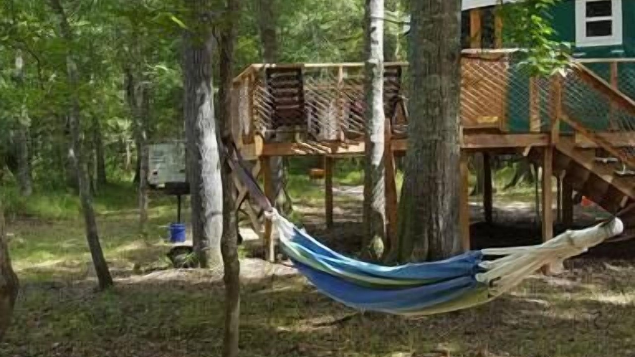 Photo of Others in Claxton