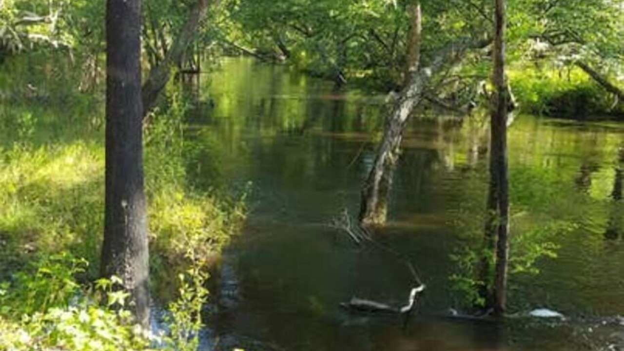 Photo of Others in Claxton