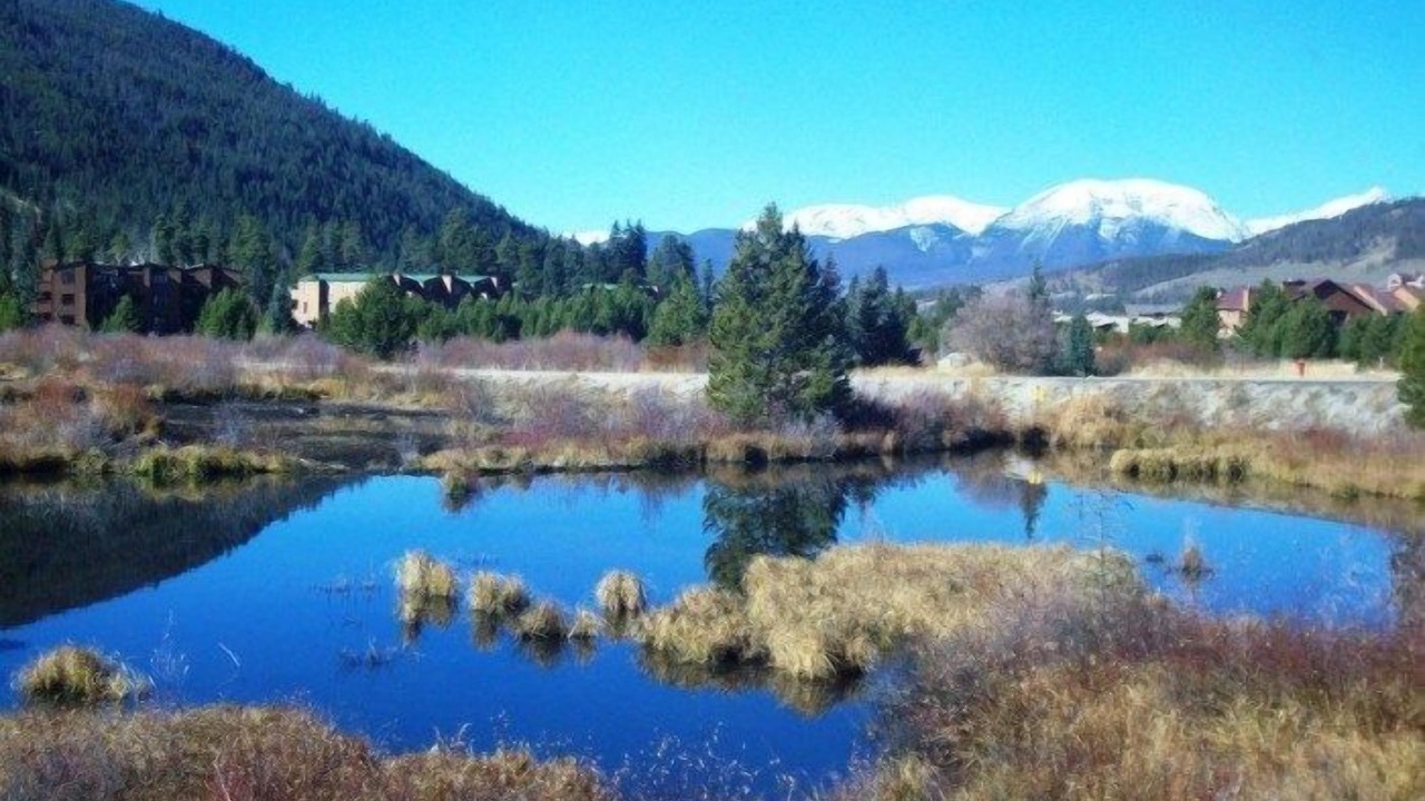 Photo of Others in Mountain House