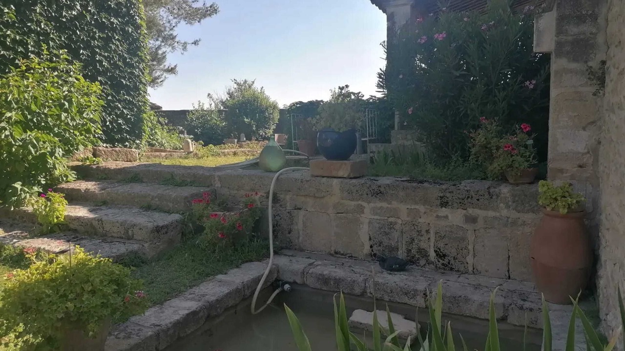 Photo of Outdoor in Nages-et-Solorgues
