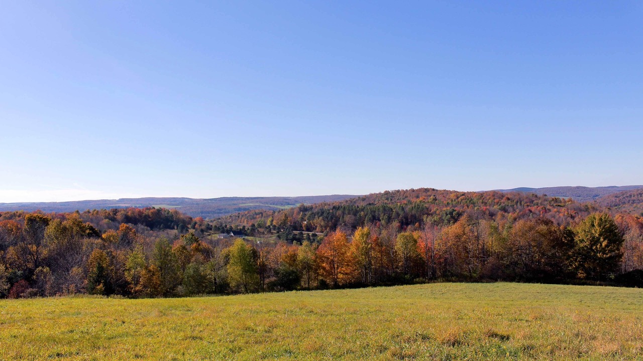 Photo of Outdoor in West Winfield