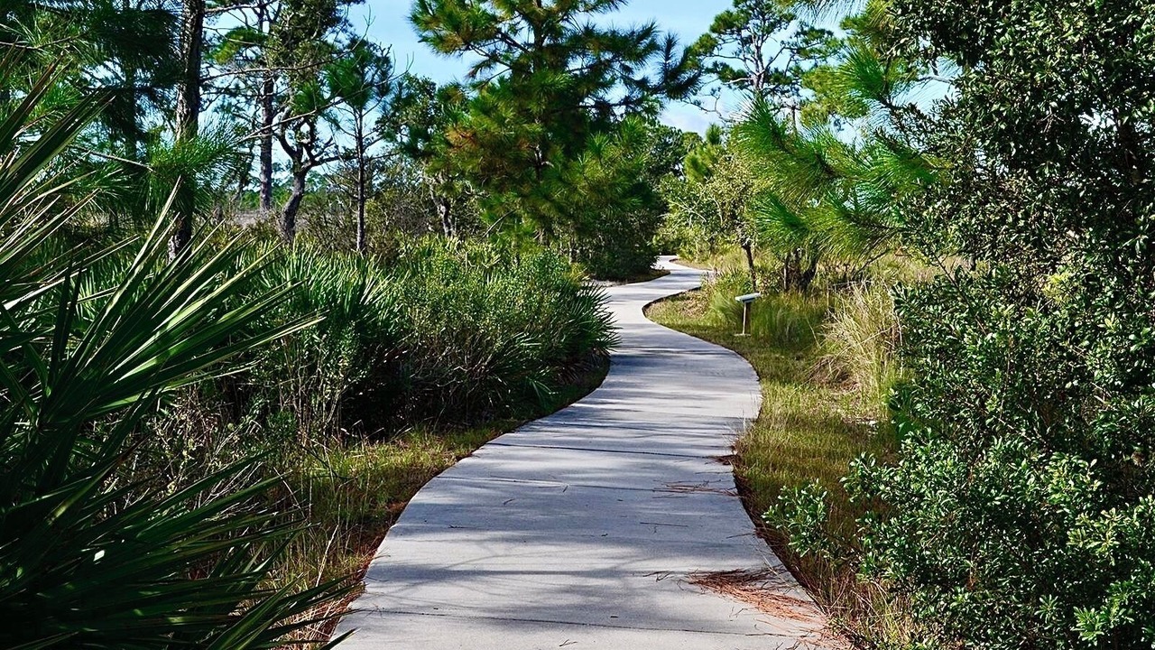 Photo of Outdoor in Alligator Point