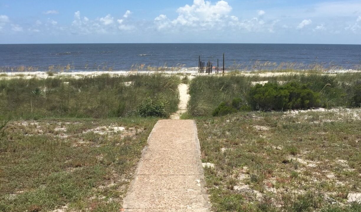 Photo of Outdoor in Alligator Point
