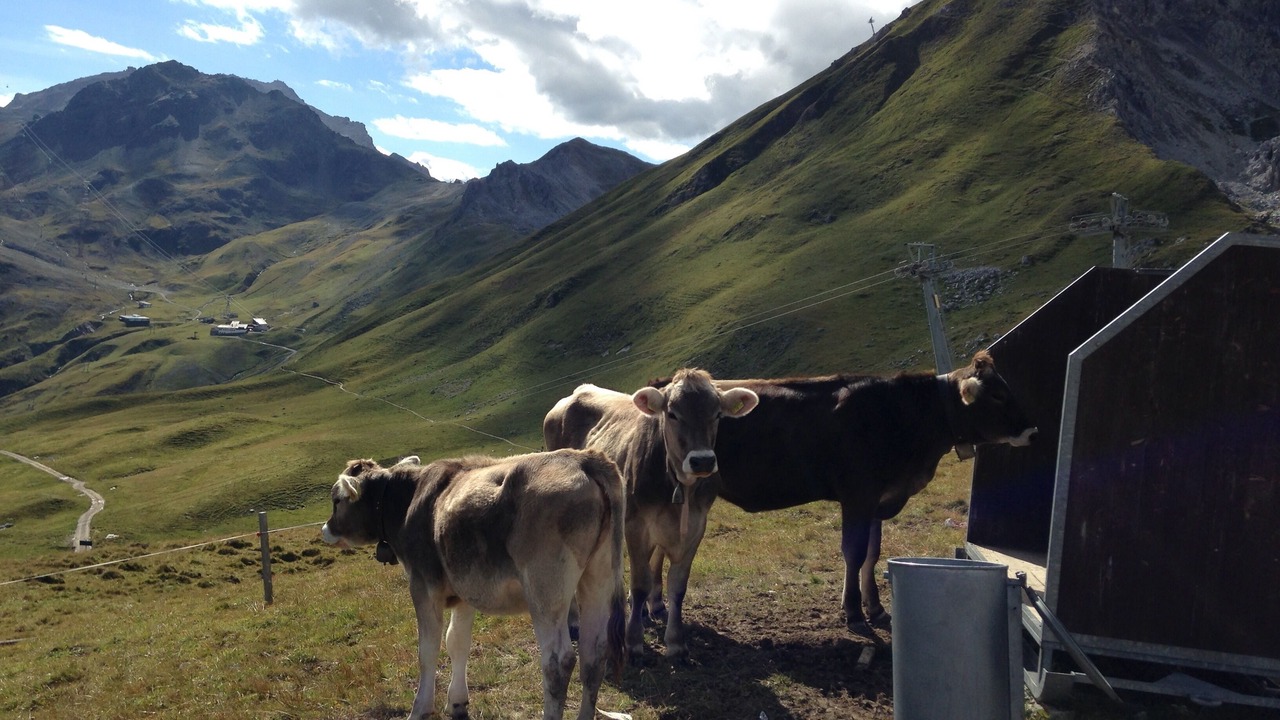Photo of Outdoor in Klosters-Serneus