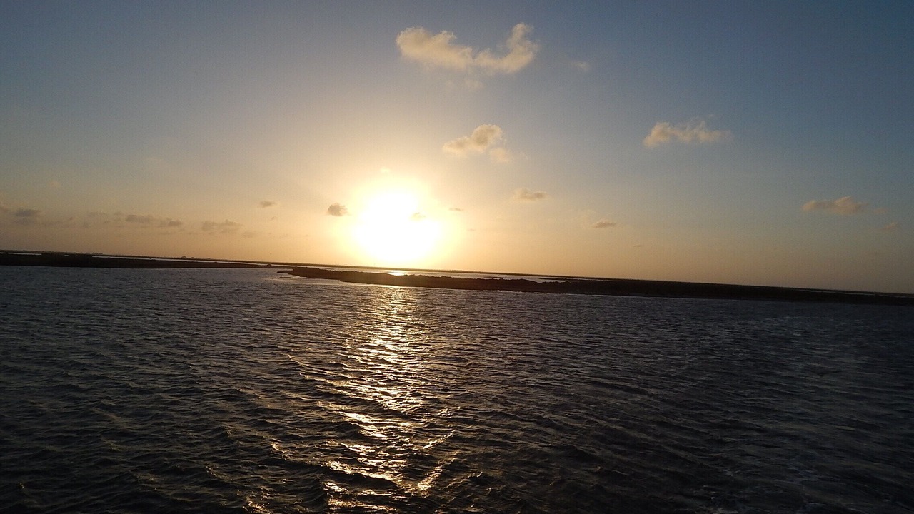 Photo of Others in Corpus Christi