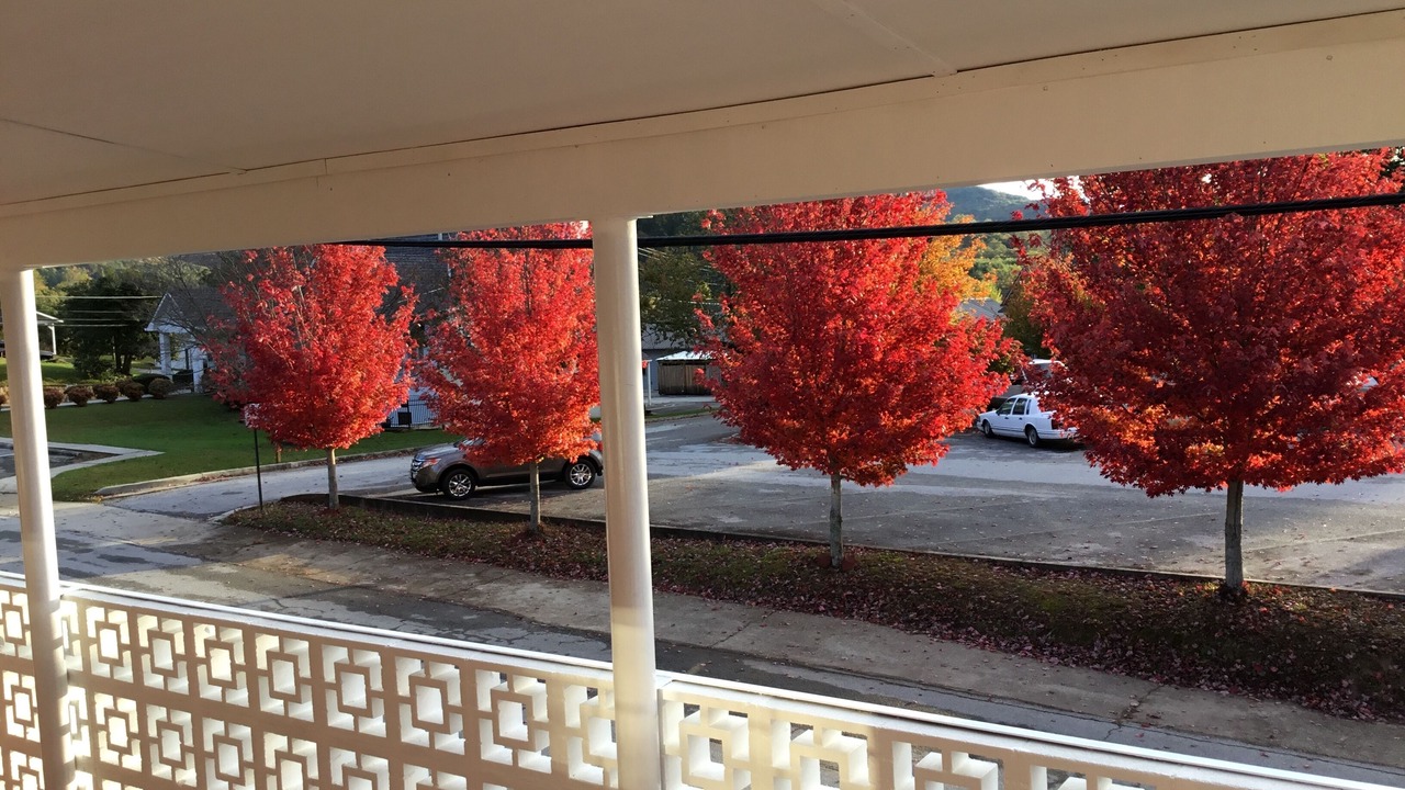 Photo of Outdoor in Clayton