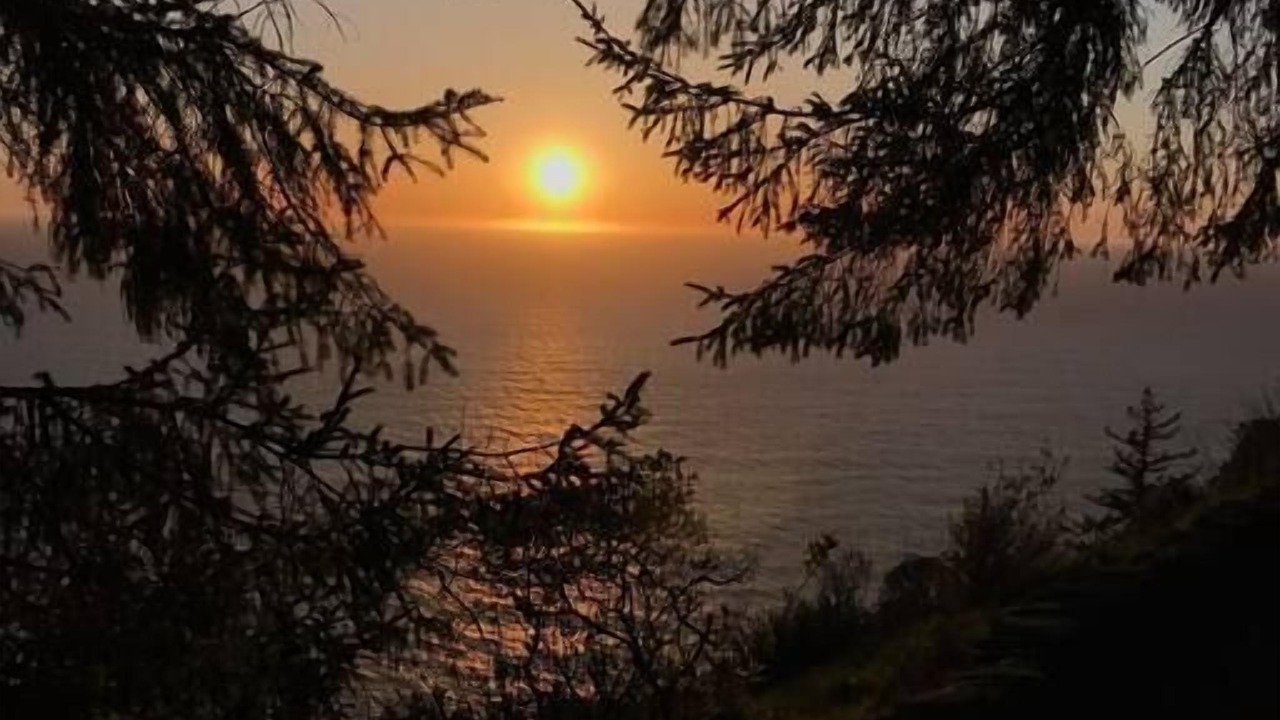 Photo of Others in Waldport