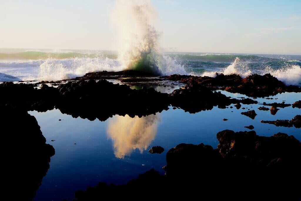 Photo of Others in Waldport