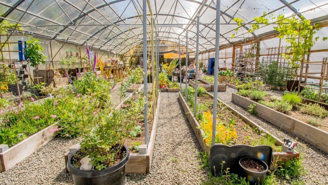 Photo of Outdoor in Waldport