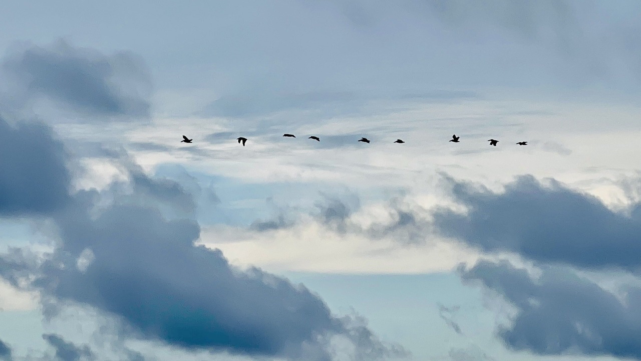 Photo of Others in Ocean Isle Beach