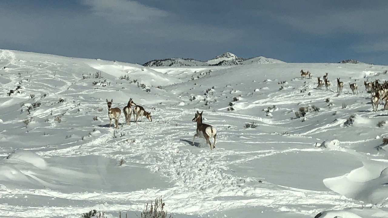 Photo of Others in Silvercreek