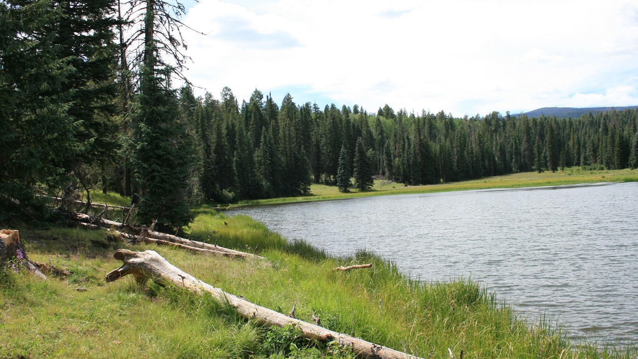 Photo of Outdoor in Pinetop